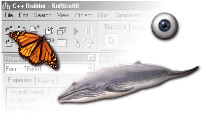 ������ �������